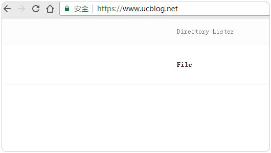 Directory Lister成功運行