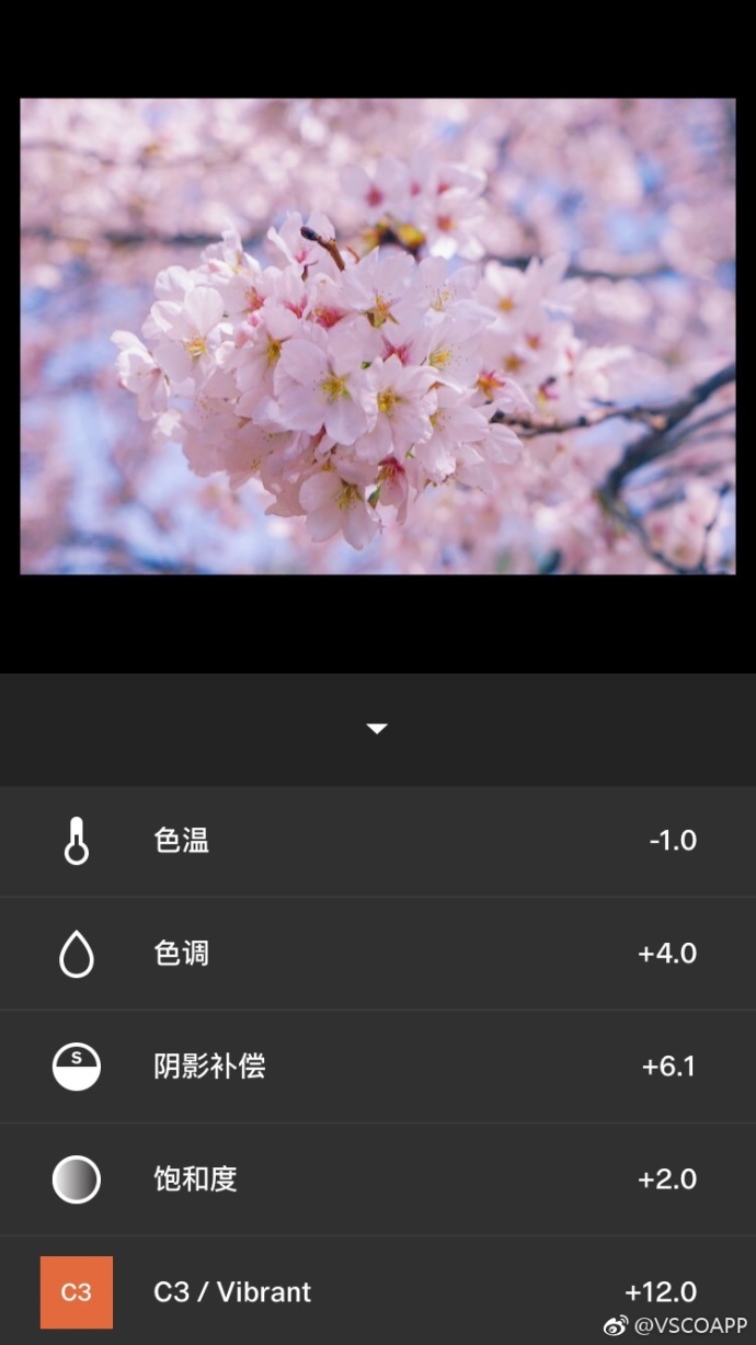 VSCO有關花的調色濾鏡教程    三聯
